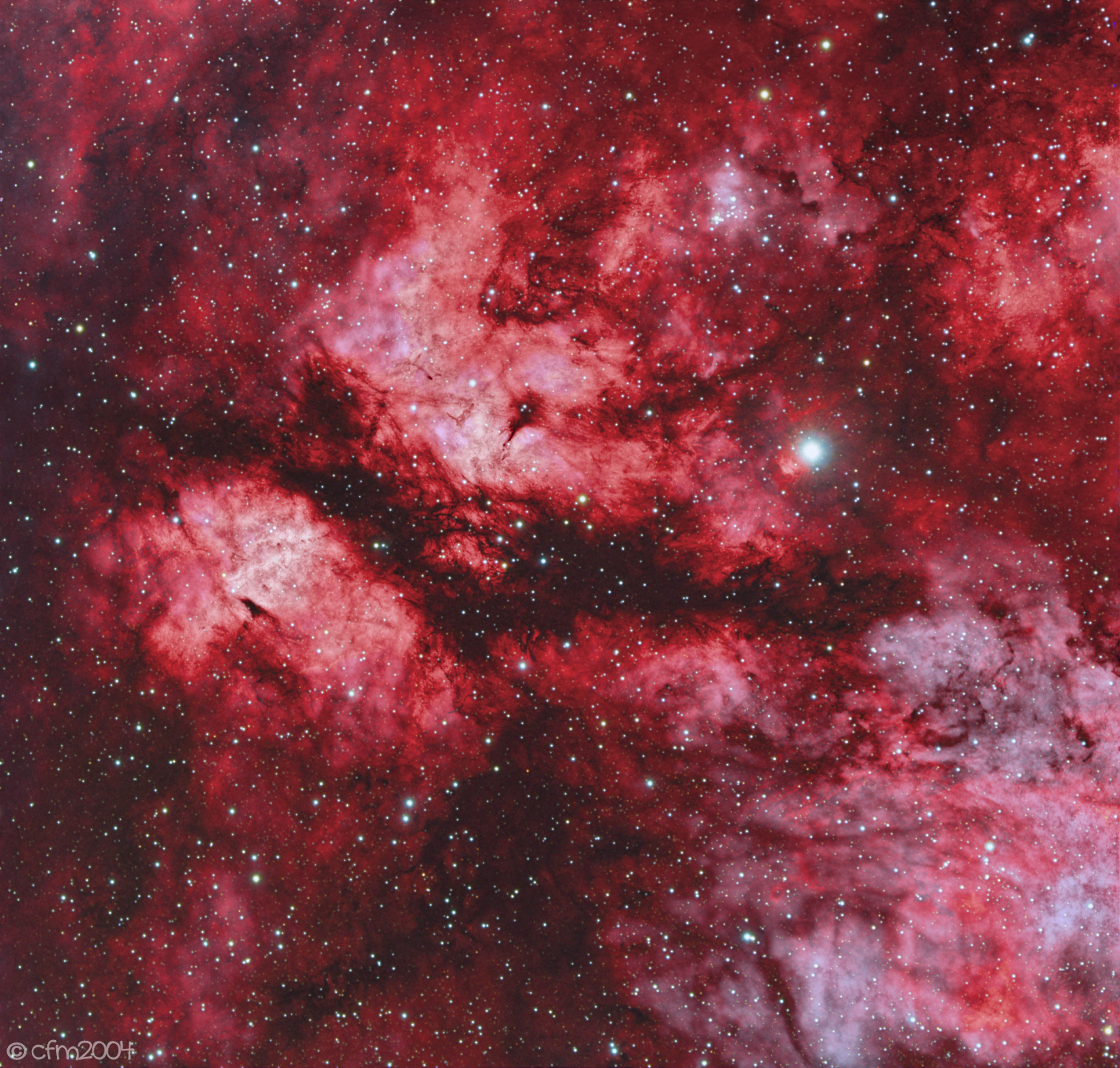 IC1318 Butterfly nebula
