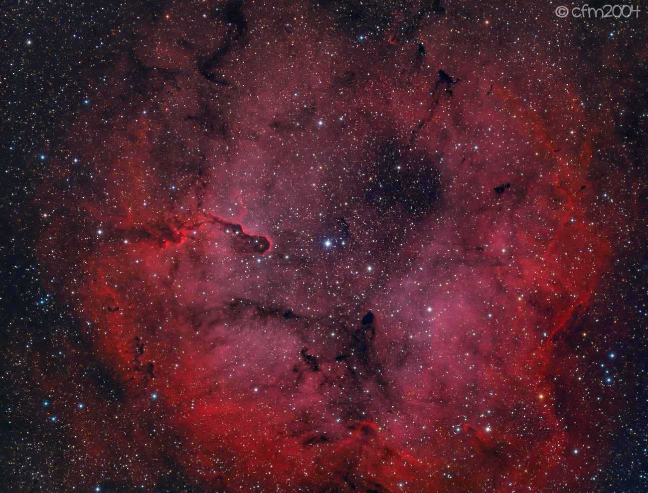 IC1396 nebulosa in Cepheo