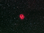 IC5146 Cocoon nebula - Agosto 2011
