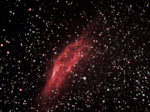NGC1499 Nebulosa California - Gennaio 2009