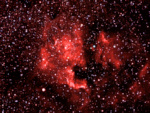 NGC7000 Nebulosa Nord America e IC5070 Nebulosa Pellicano