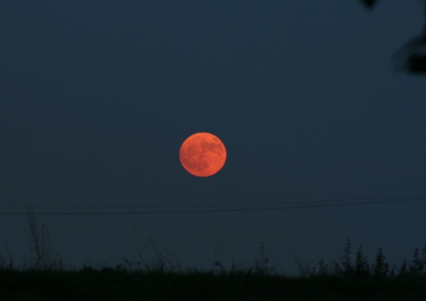 Luna Rossa - 21 giugno 2005