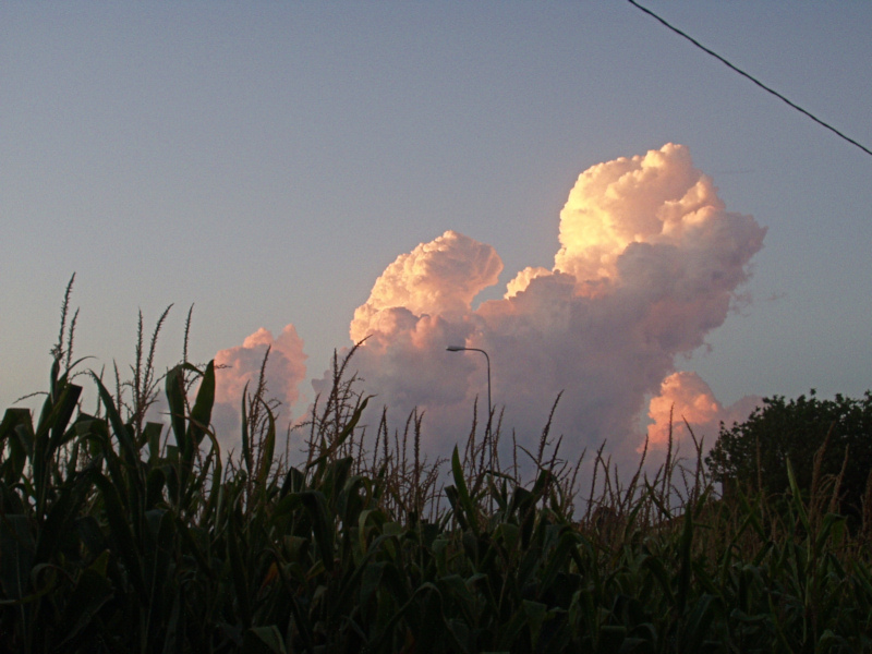 Nuvole e Mais - Agosto 2008